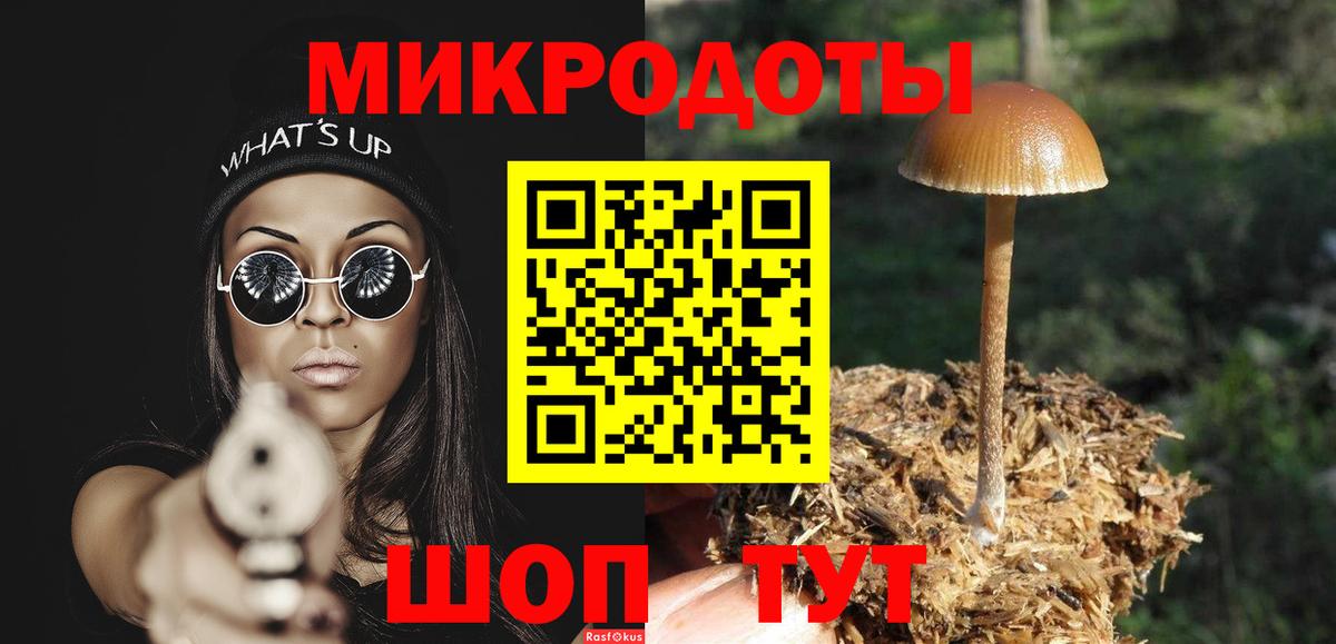 Галлюциногенные грибы MAGIC MUSHROOMS Вичуга