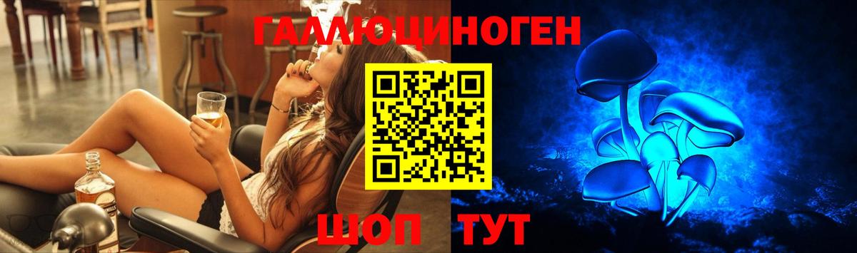 Псилоцибиновые грибы Magic Shrooms  сколько стоит  Вичуга  Вход с VPN 